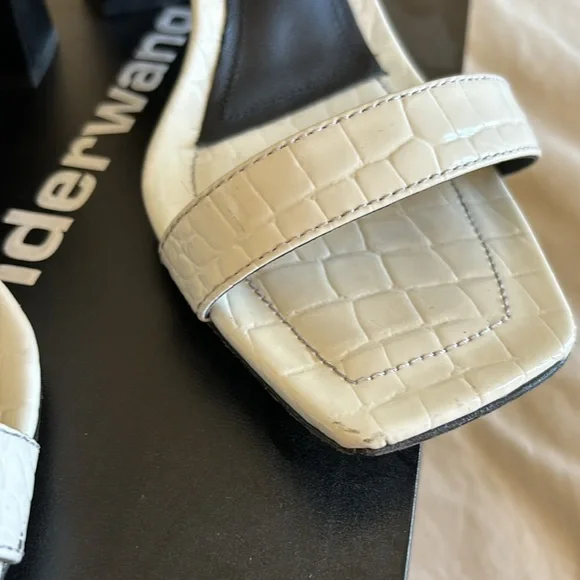 Alexander Wang Hayden Croc